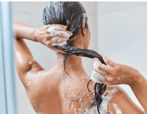 Imagem não encontrada